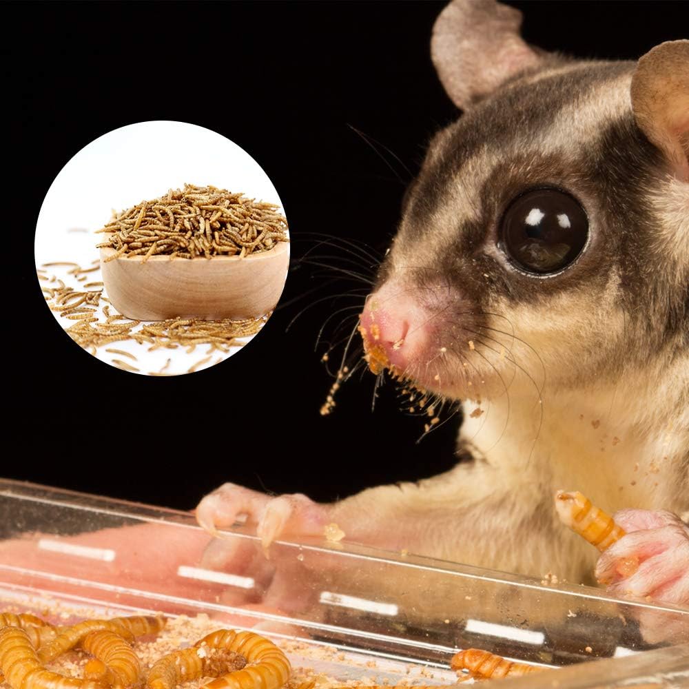 Dried Mealworms 5Lbs, High-Protein Bulk Mealworms, 100% Non-GMO Mealworm Treats for Birds, Chickens, Turtles, Fish, Hamsters and Hedgehogs All Natural Animal Feed