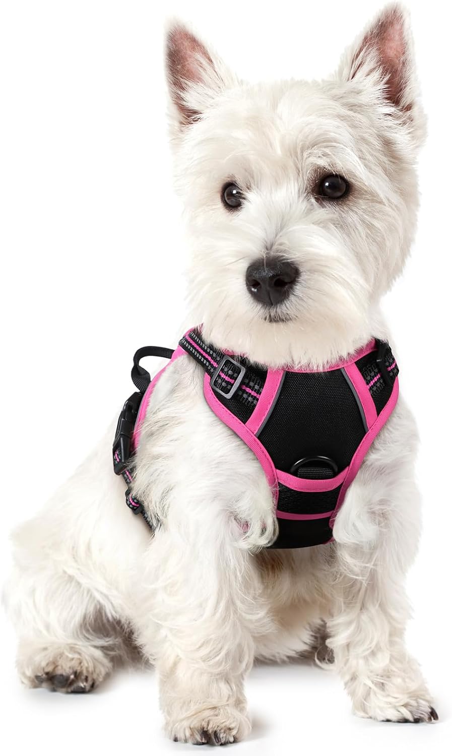 rabbitgoo Dog Harness No Pull with 2 Leash Clips, Adjustable Soft Padded, Reflective Oxford No Choke Pet Vest with Easy Control Handle for Large Dogs, Black & Hot Pink, XS