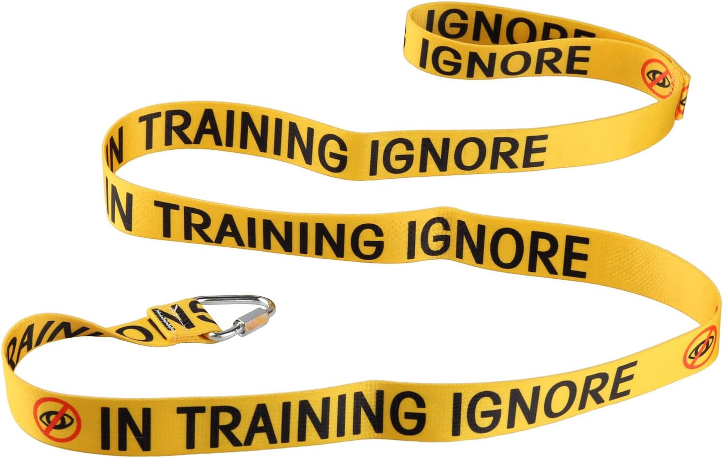 Funny Dog Leash for Training, Ignore & Walking - Owner & Pet Lover Gift (In Training Ignore-YE)