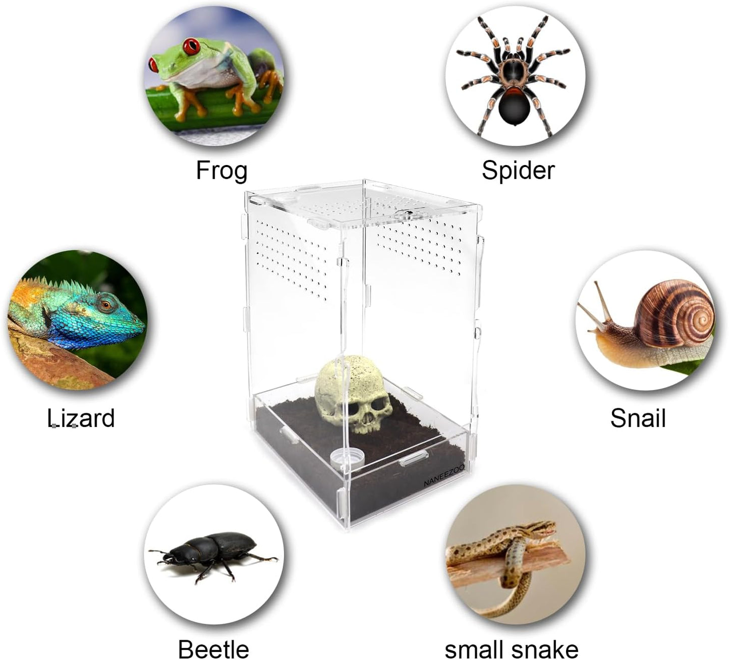 NANEEZOO Micro Habitat Terrariums with Locking Latch, 8x6x12 Inches Acrylic Reptile Tank with Water-tight Base, Arboreal Enclosure for Tarantula Jumping Spiders Small Tree Dwelling Reptiles (Arboreal)