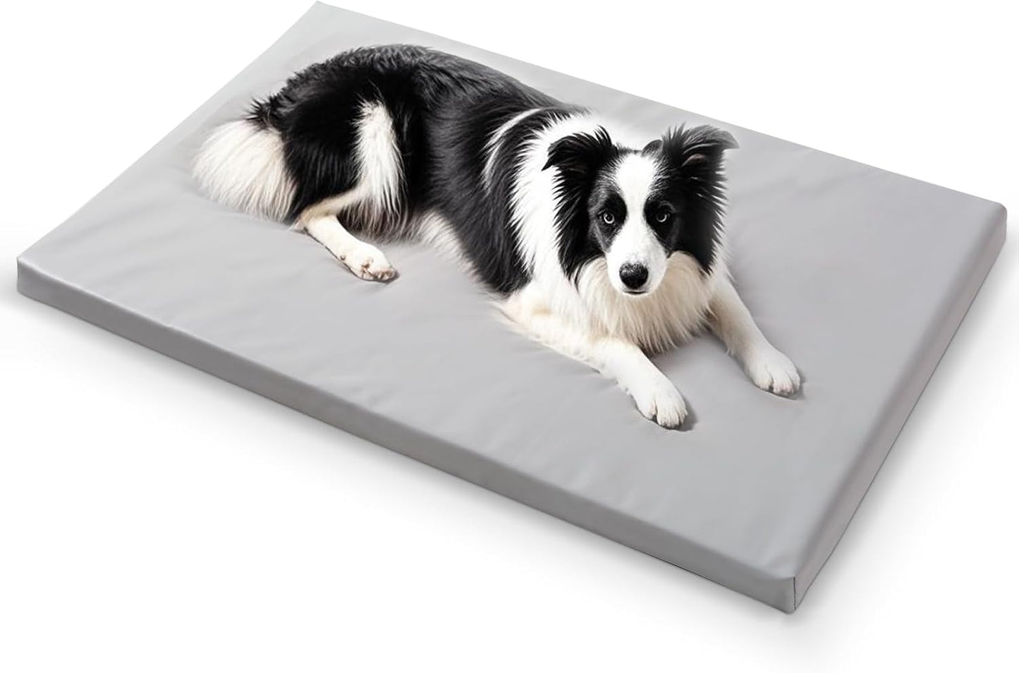 Dog Mat,23"x 36"Dogs Crate Pad,Indoor Non-Slip & Waterproof Dog Mat,Easy Wipe Clean in Seconds，Sleeping for Floor,Car,Sofa,Crate