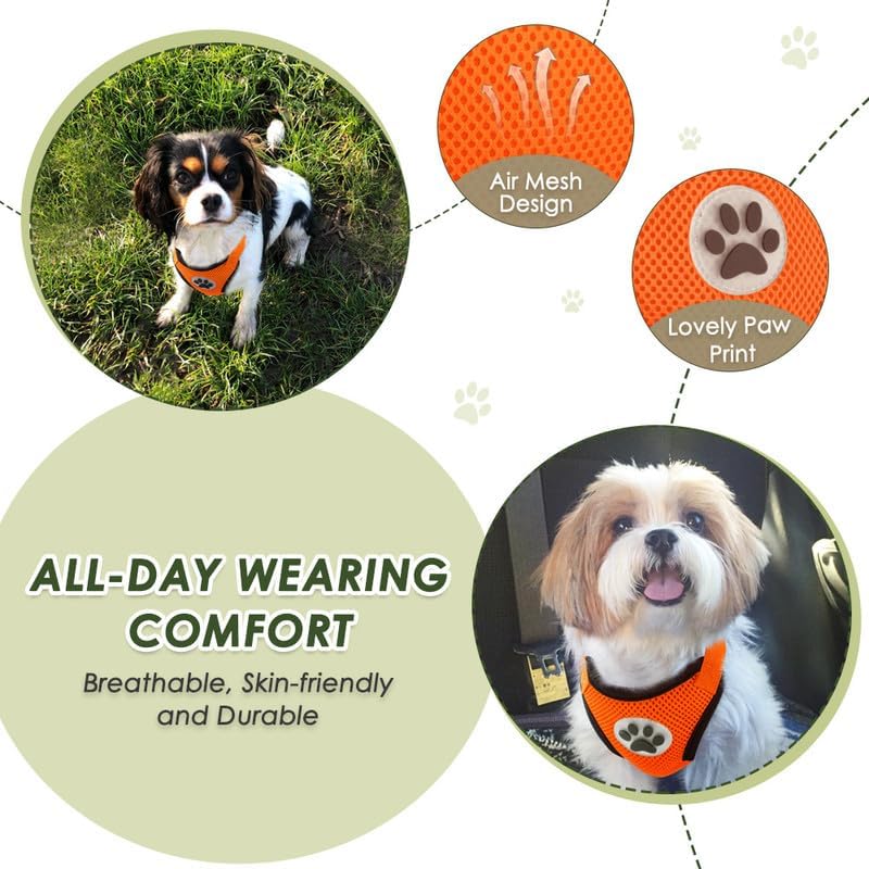 SlowTon Dog Seat Belt Harness for Car, Dog Car Harness Adjustable Mesh Breathable & Dog Seatbelt Safety Tether with Elastic Bungee for Small Medium Large Pets(Orange, Double Clip, M)