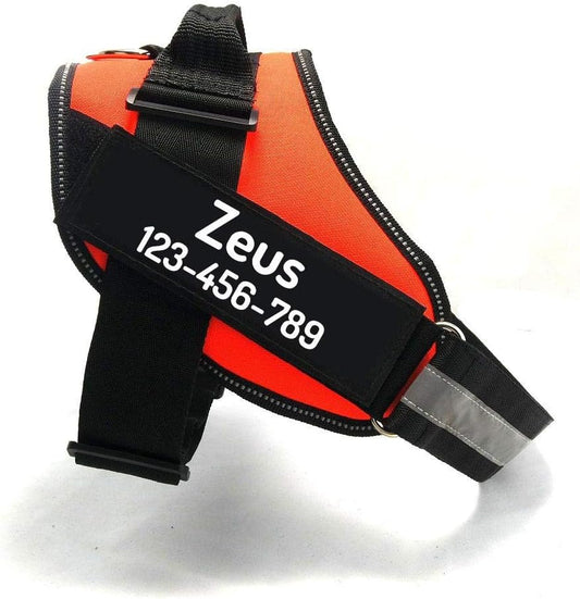 PawPawify Custom No Pull Dog Harness with Name and Phone Number, Heavy Duty Personalized Pet Vest to Prevent Tugging, Pulling, or Choking, Training and Walking (Orange, XS (5-9LBS))