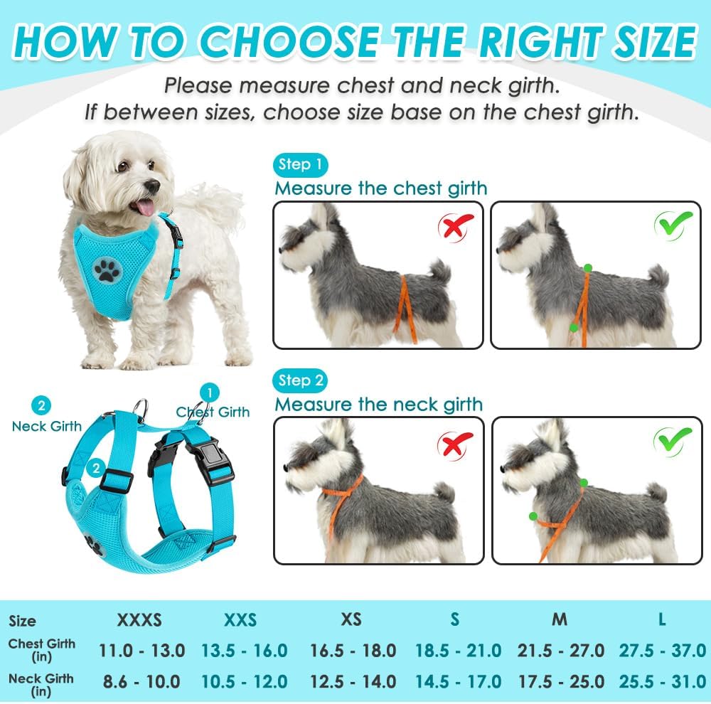 SlowTon Dog Seat Belt Harness for Car, Dog Car Harness Adjustable Mesh Breathable & Dog Seatbelt Safety Tether with Elastic Bungee for Small Medium Large Pets(Light Blue, Double Clip, XS)
