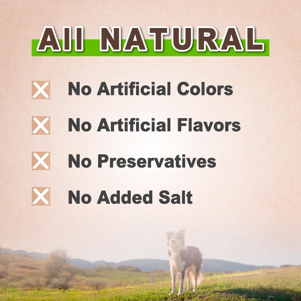 AFreschi Turkey Tendons for Dogs, USA-Sourced, Healthy Dog Treats, Rawhide-Free Puppy Chews, Long Lasting, All Natural, Hypoallergenic Dog Treats, Classic Series, Coil (S), 3 oz Pack