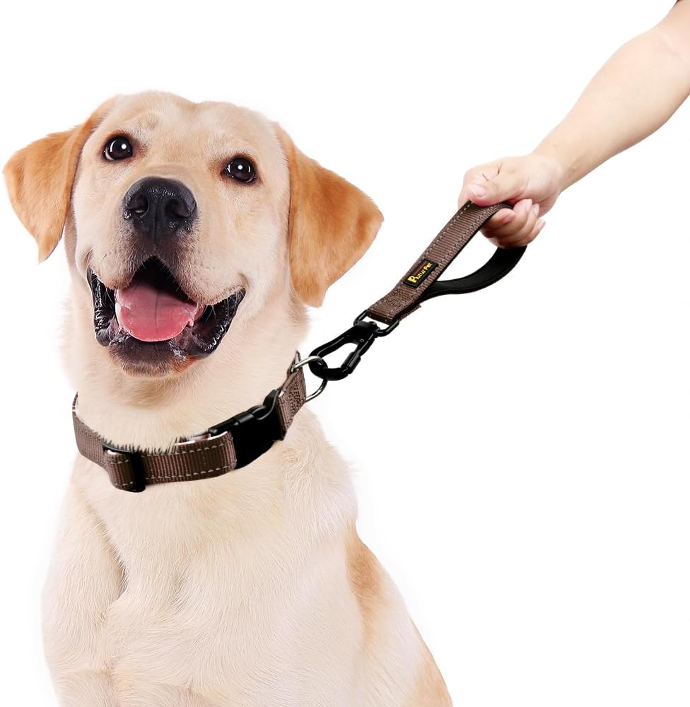PLUTUS PET Short Dog Leash, Reflective Nylon Padded Handle, Strong Traffic Leash with Carabiner Clip, Perfect for Large or Medium Dogs (10”，Chocolate)