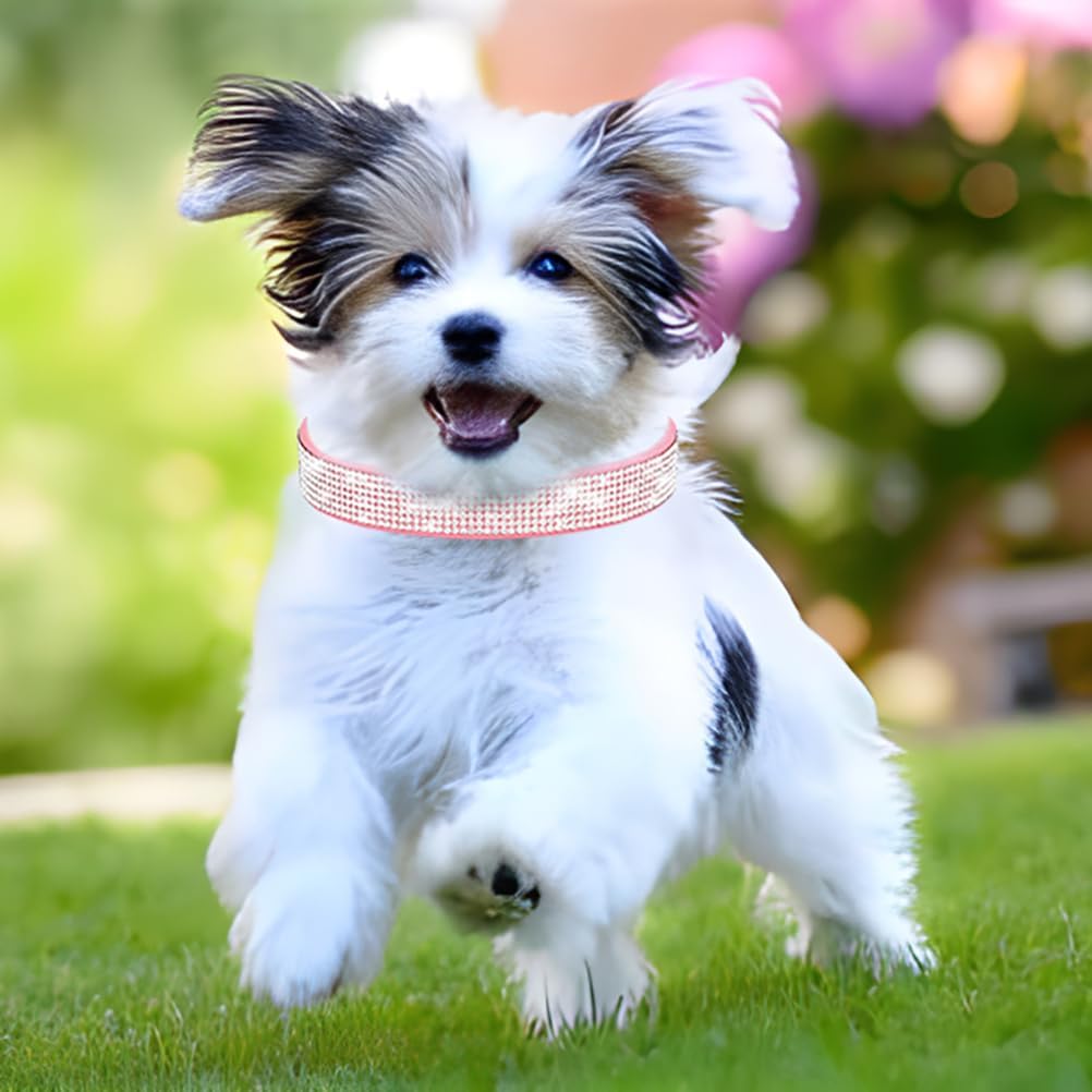 Rhinestone Dog Collar for Small Dogs, Bling Diamond Fancy Crystal Glitter Pretty Jewel Pet Puppy Collars for XXS XS Small Medium Large Breed Girl Dogs Female Cats Kitten, Teal XXL