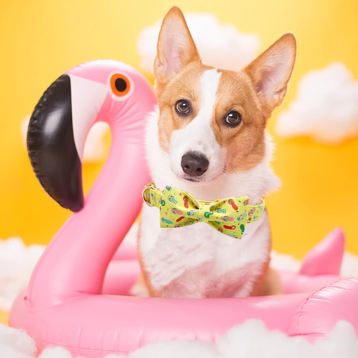 Elegant Little Tail Bowtie Dog Collar - Summer Cute Bow for Small to Large Dogs