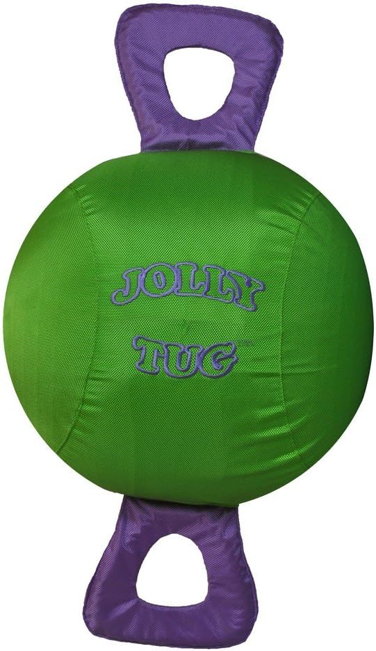 Horsemen's Pride 14" Jolly Tug Horse Toy, Green (JT14 G)