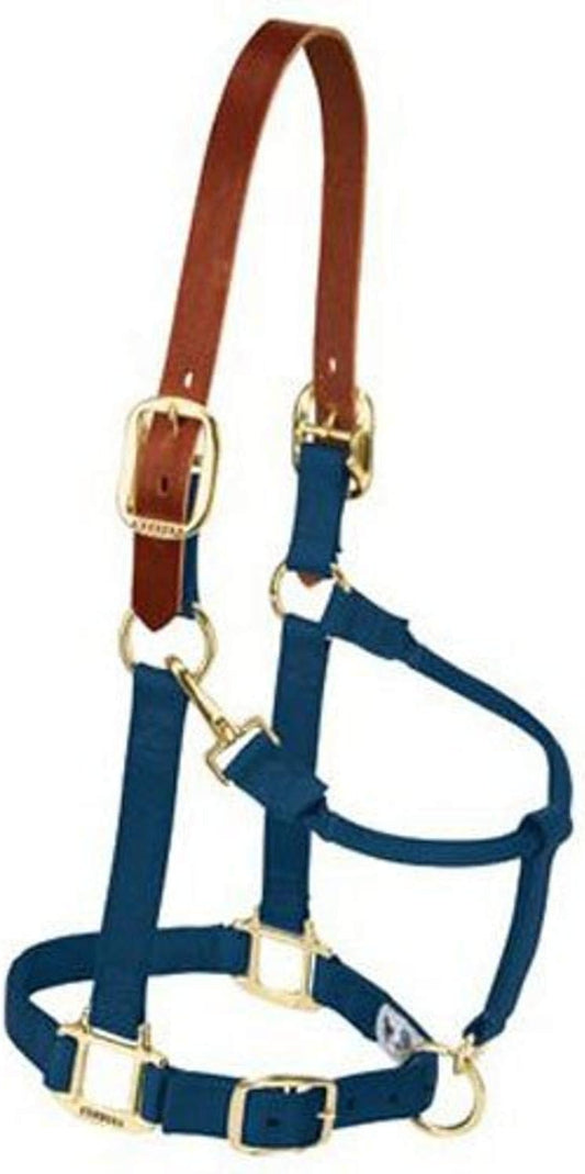 Weaver Equine Breakaway Horse Halter, Supple Leather Crown, Adjustable Chin & Throat Snap Halters for Horses, Equine Tack