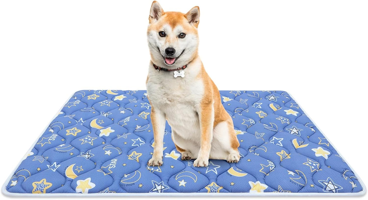 Bubble bear Dog Crate Mat - Ultra Soft, Washable & Anti-Slip Kennel Pad for Small/Medium/Large Dogs, Dark-Hued to Hide Stains (30"x19")