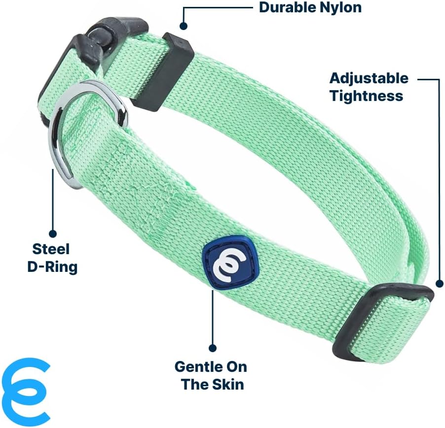 Blueberry Pet Essentials Small Dog Collar in Pastel Green | Adjustable & Eco-Friendly Durable Nylon Strap | Classic Collar for Small Dogs, Boy & Girl Pets