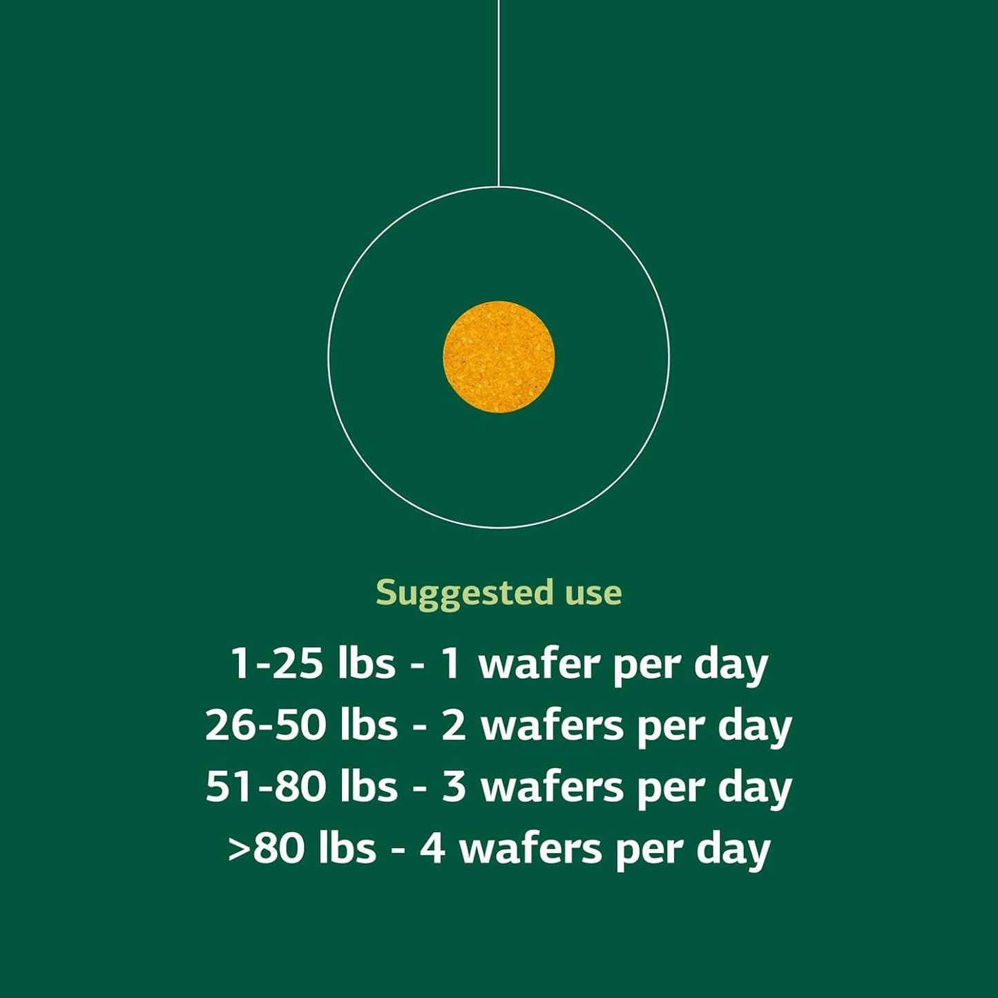Standard Process Inc. Canine Flex Support - Joint & Immune Health Supplement for Dogs - Chewable Wafers for Healthy Joint Function Support - Nutritional Whole-Food Based Supplement - 100 wafers