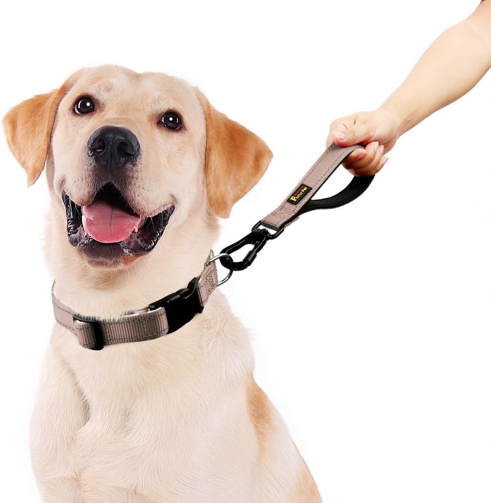 PLUTUS PET Short Dog Leash, Reflective Nylon Padded Handle, Strong Traffic Leash with Carabiner Clip, Perfect for Large or Medium Dogs (10”，Beige)