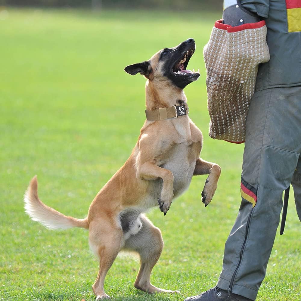 TSPRO Tactical Dog Collar 1.5 Inch Wide Thick Dog Collars with Heavy Duty Metal Buckle, Durable, Strong, Adjustable for Medium to Large Dogs (Khaki L)