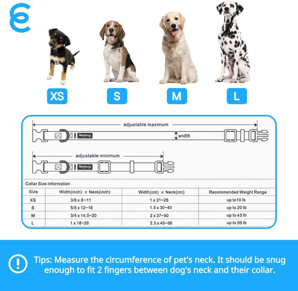 Blueberry Pet Essentials Dog Collar | Adjustable Nylon Dog Collar for Large Dogs | Classic True Navy Dog Collars for Small Dogs | Premium Pet Safety & Style with Secure Leash Attachment