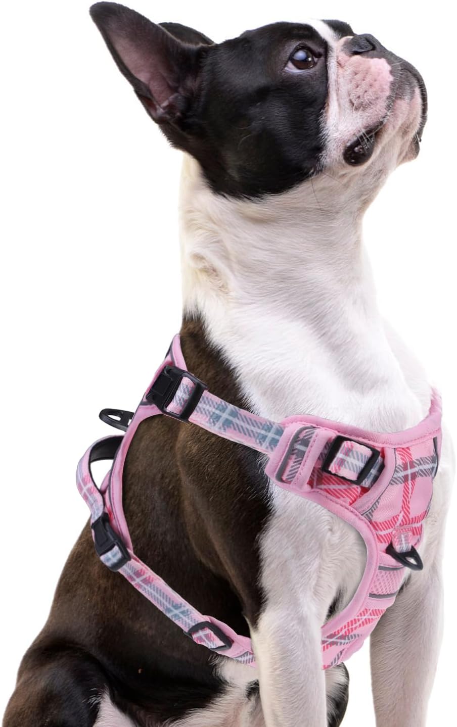 PUPTECK No Pull Dog Harness Small Sized, Adjustable Reflective Dog Harness with Handle Easy Control, Comfortable Soft Padded Pet Vest Harness for Small Dogs, Plaid Pink S