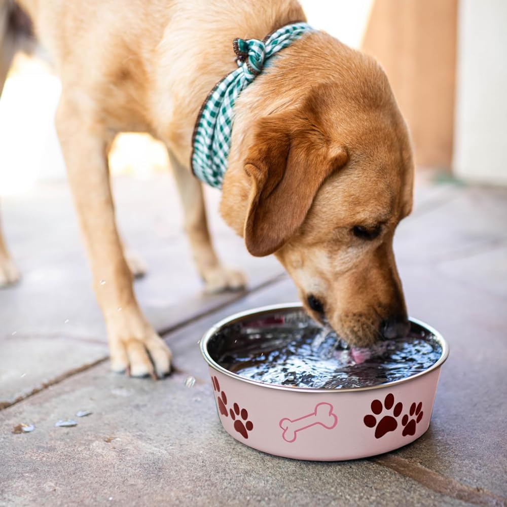 Loving Pets Bella Dog Bowls- Stainless Steel Dog & Cat Bowls - Spill Proof Dog Food Bowl, Cat Bowl, Puppy Essentials & Pet Supplies Great for Home & Travel (Small 10-20 lbs, Paparazzi Pink)
