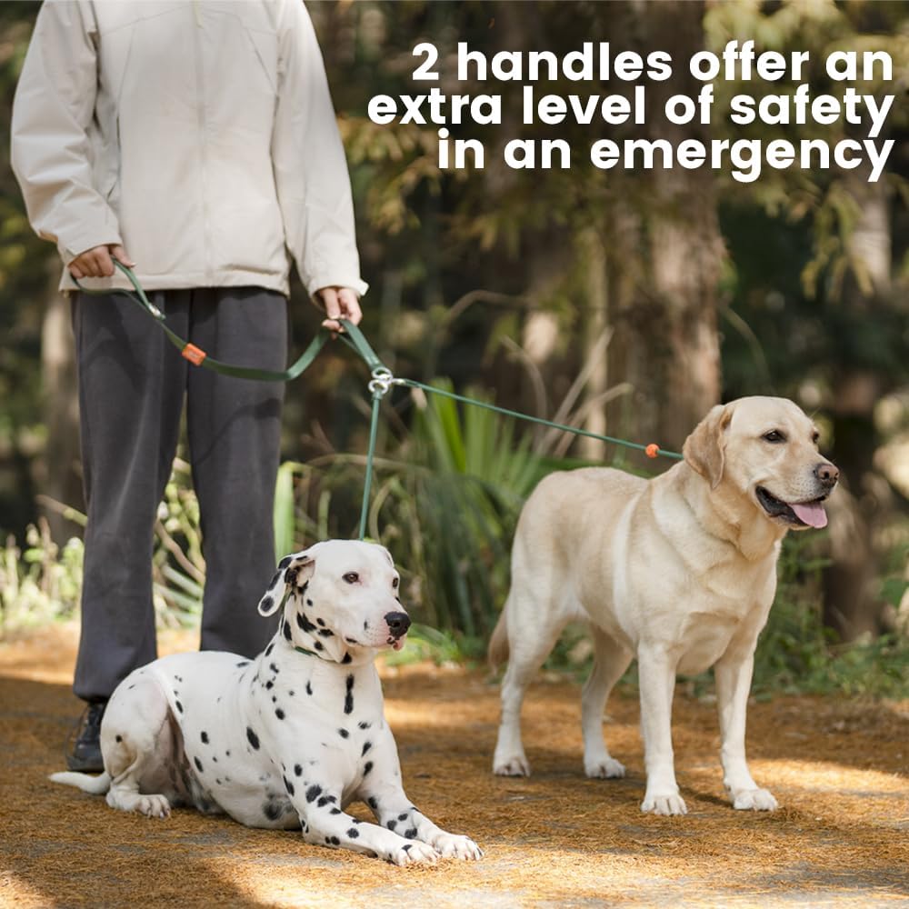 Howgo Double Slip Leash Slip Lead with Two Handles| Dual Dog Slip Lead for 2 Dogs,360° Swivel No Tangle | Dog Training Collar | Double Clip Leash Coupler and Splitter (Green, 6FT)