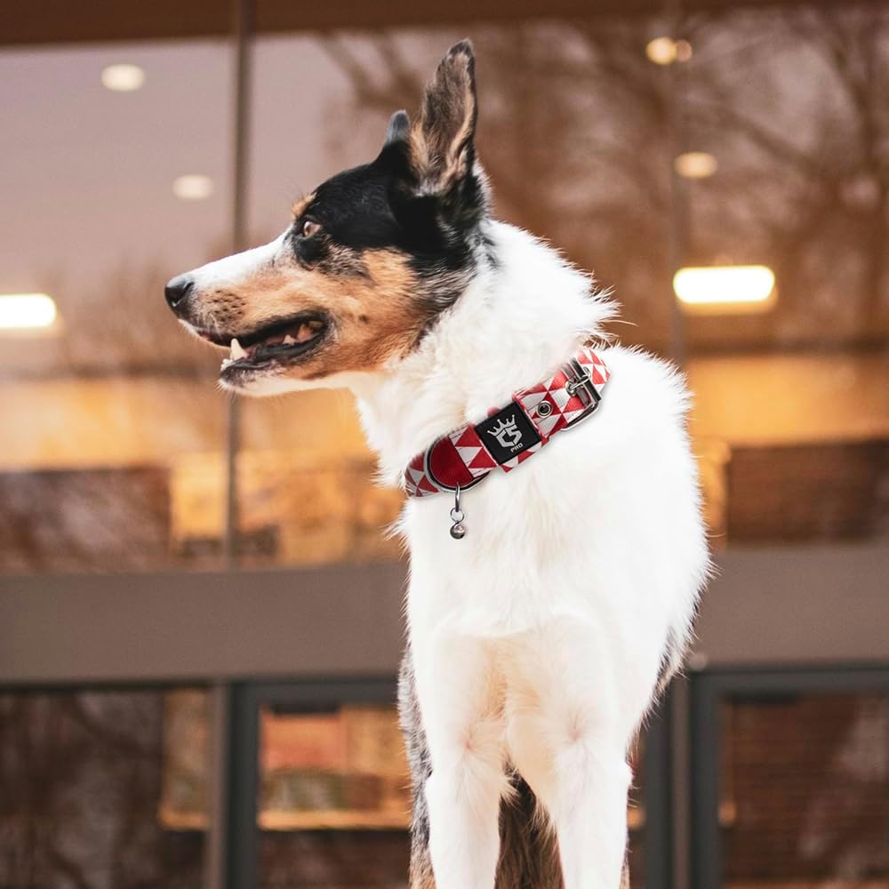 TSPRO Tactical Dog Collar 1.25 Inch Wide Thick Dog Collars with Heavy Duty Metal Buckle, Durable, Strong, Adjustable for Small Dogs (Geometric S)