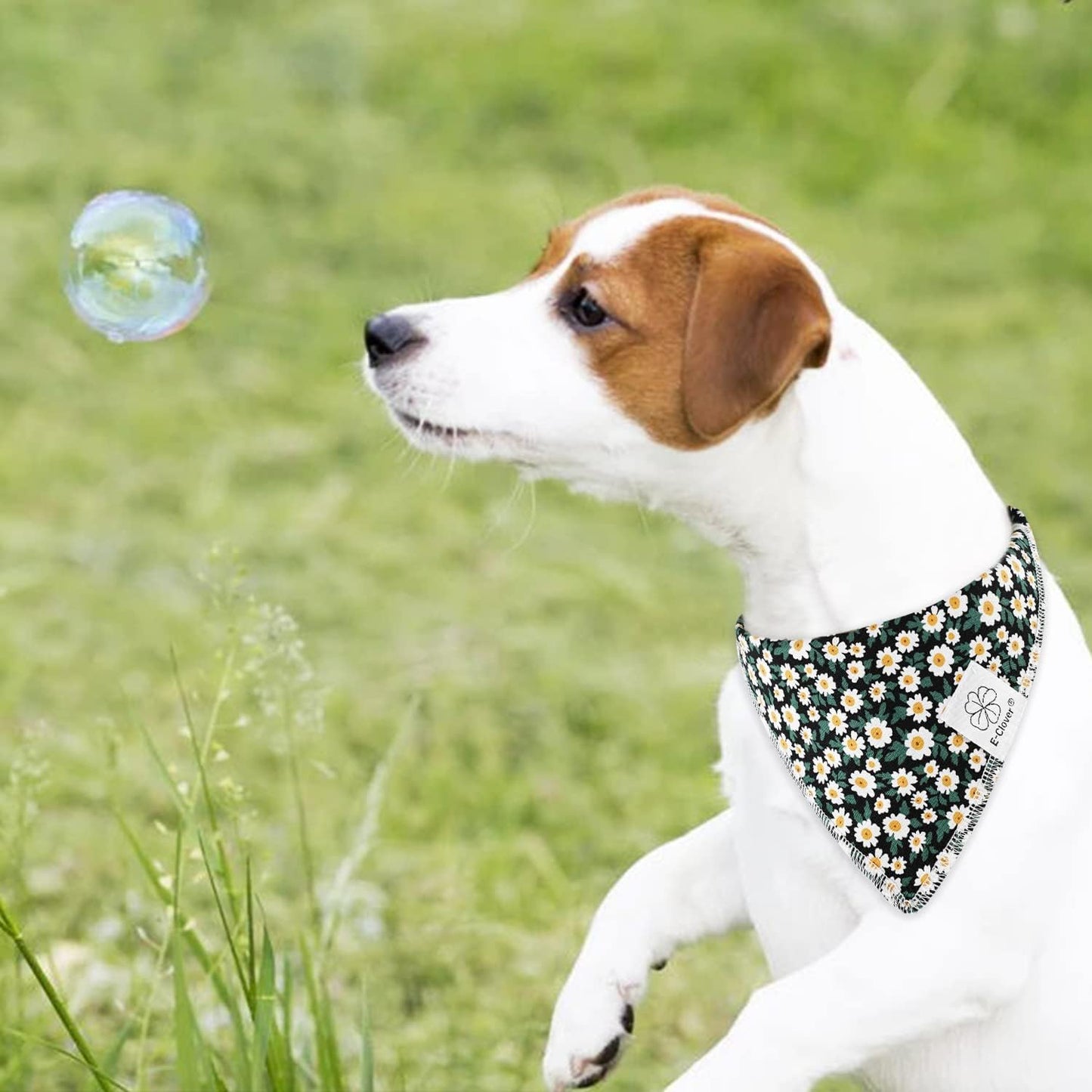 E-Clover Dog Bandanas & Matching Scrunchie Set Girl Dog Scarf Bibs with Bow Scrunchie for Small Dogs Puppy Pet Owner Gifts Flower Black