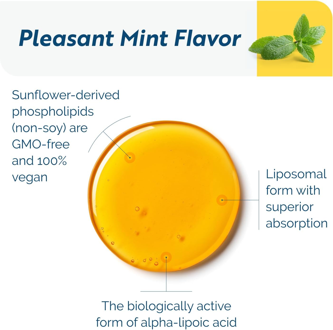 Researched Nutritionals C-RLA - Liposomal Vitamin C with R Lipoic Acid to Support Detox - Vegan & Soy-Free Vitamin C Liquid, Peppermint Flavor (10 Fl Oz)