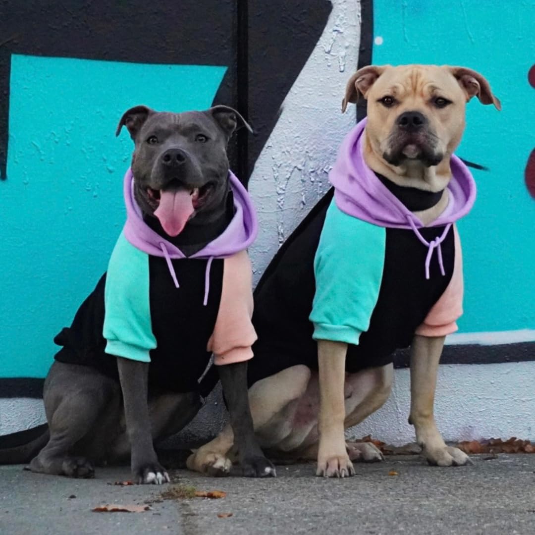 Spark Paws Dog Hoodie – Premium Dog Sweater for Small, Medium, and Large Dogs | Warm Outfits for French Bulldogs, Pitbull, Puppy, Winter Jacket Alternative - Cyber Punk - 4XL