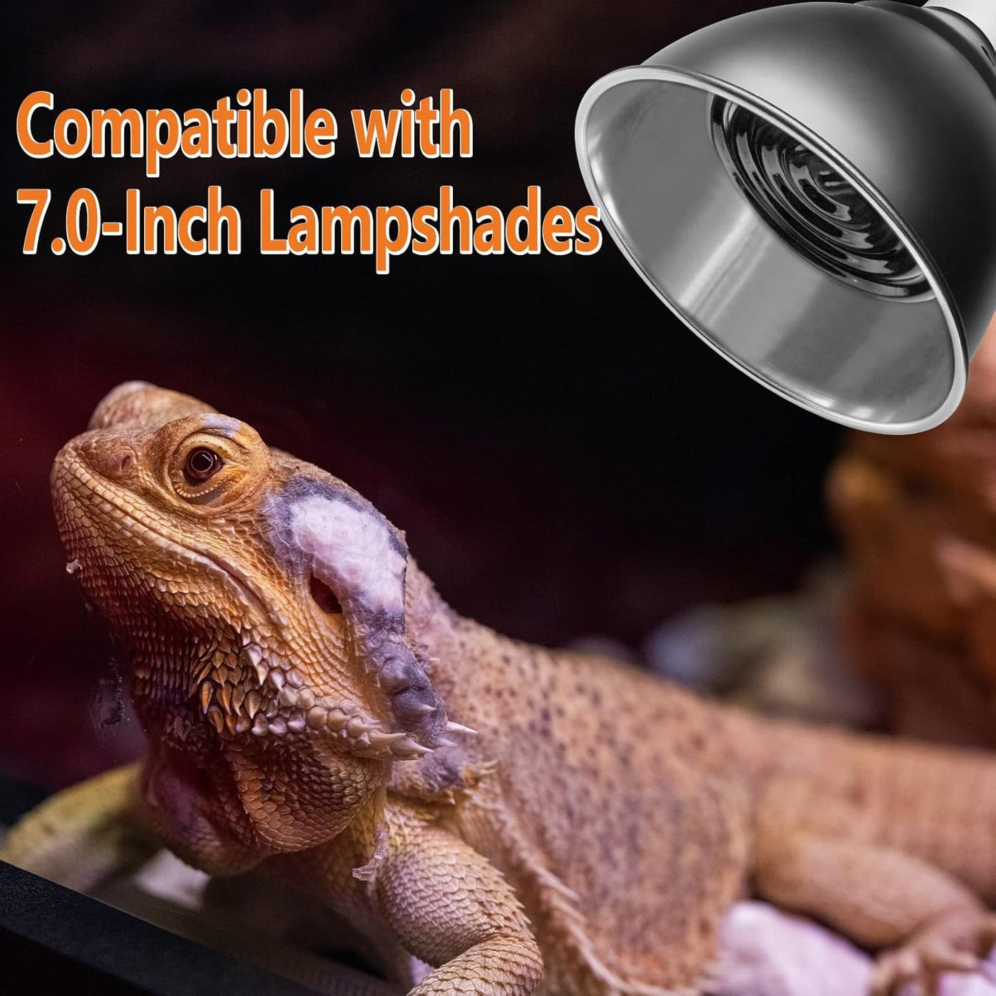 High Power 250 Watts Ceramic Heat Emitter for Reptiles, Tortoise, Snakes, Lizards, Bearded Dragon, Geckos, Amphibians and Chick & Quail Brooder