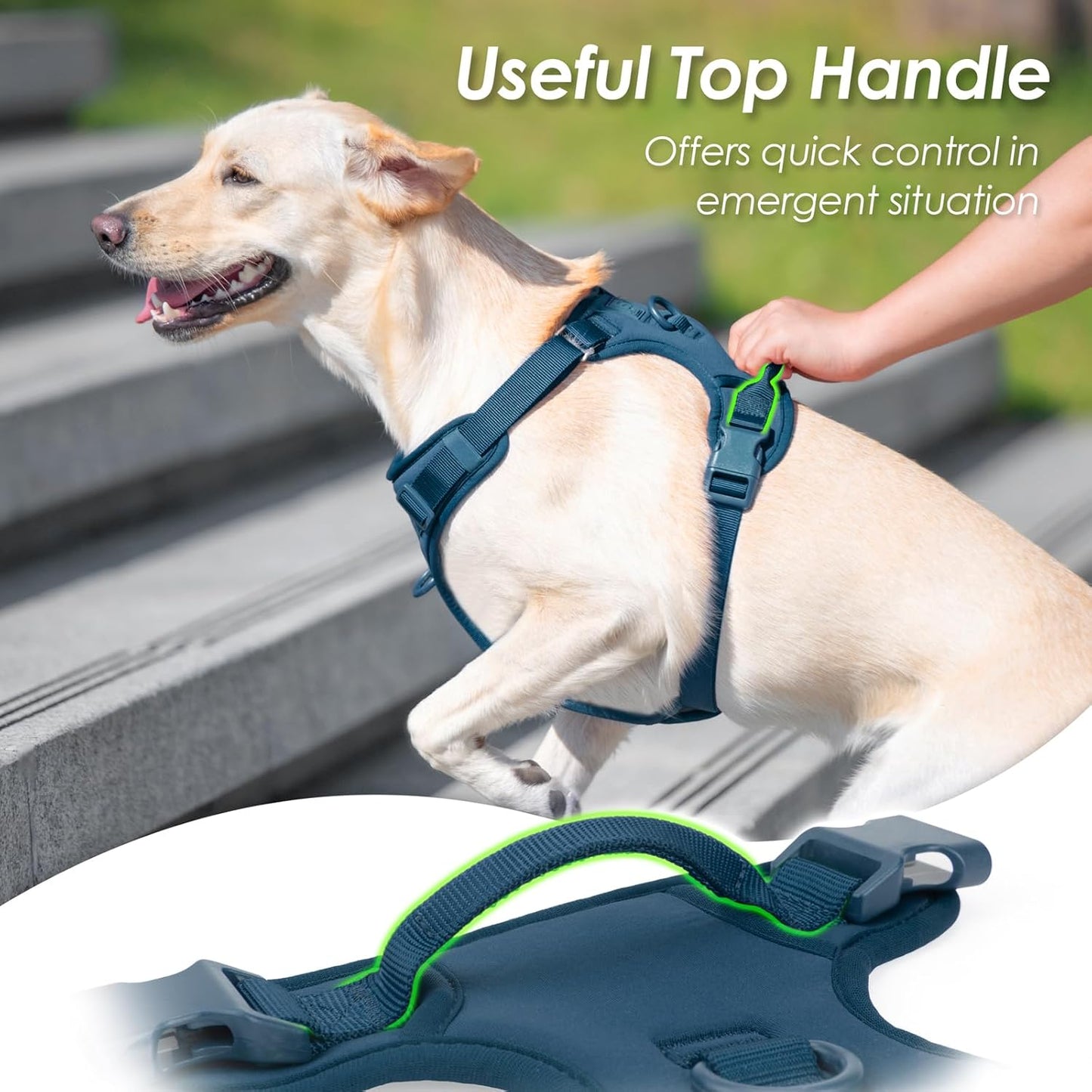 No Pull Dog Harness, Puppy Vest with Front Clip for Small Medium Large Sized Dog(Prussian Blue,M)