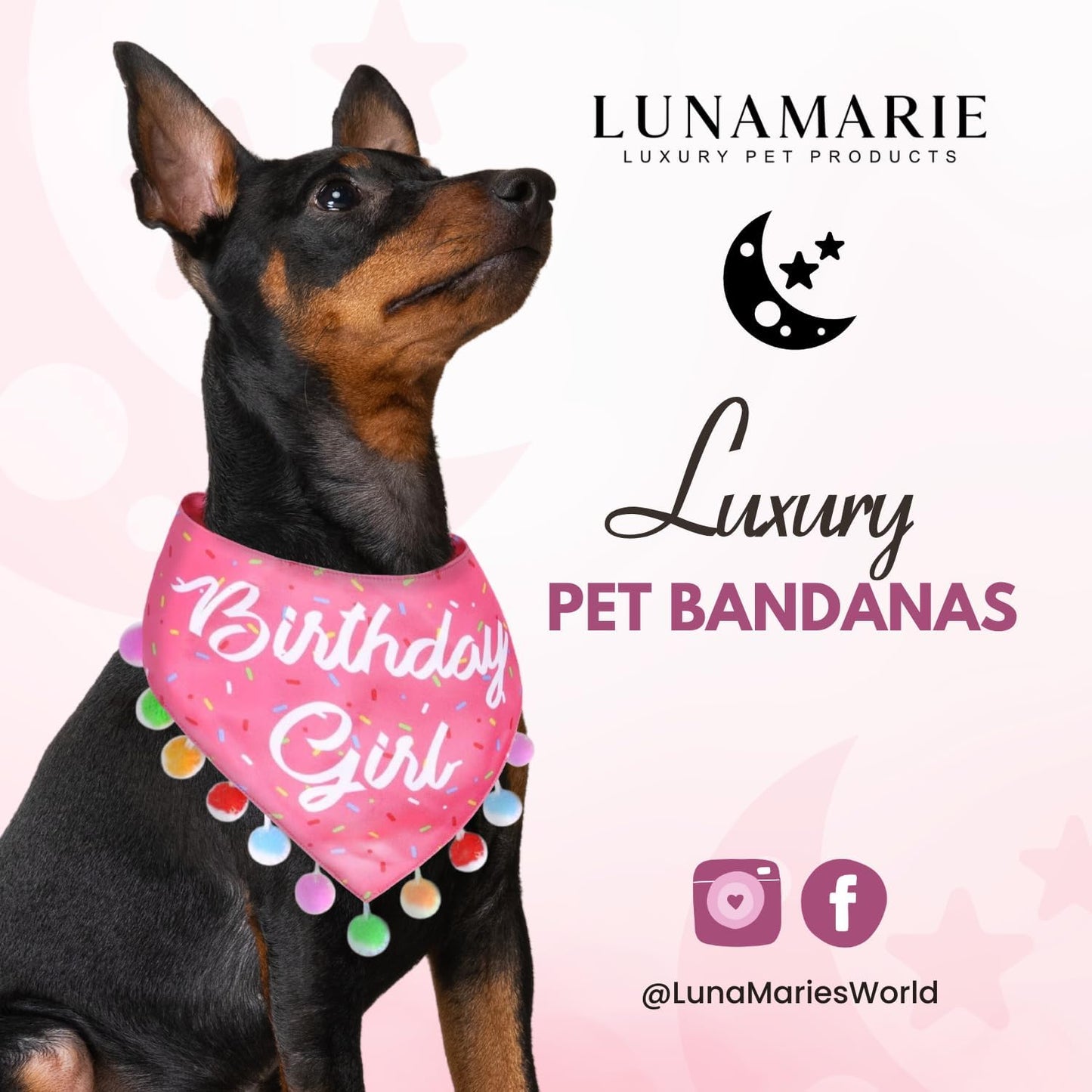 LunaMarie - Luxury Pet Birthday Bandanas -Premium & Silky Poly Fabric | 100% Handmade | Custom Shape Dual Layered (Birthday Girl, X-Small)