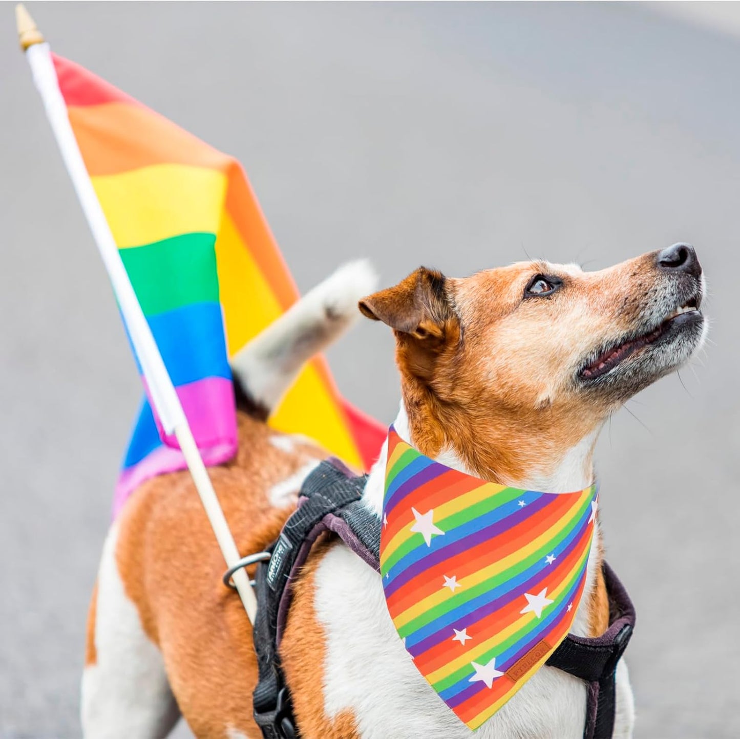 PTDECOR Rainbow Dog Bandanas Pride Day, Multi Size,“Love is Love” Pet Scarf Reversible Triangle LGBT+ Rainbow Bandanas for Small Dogs Pets (Small)