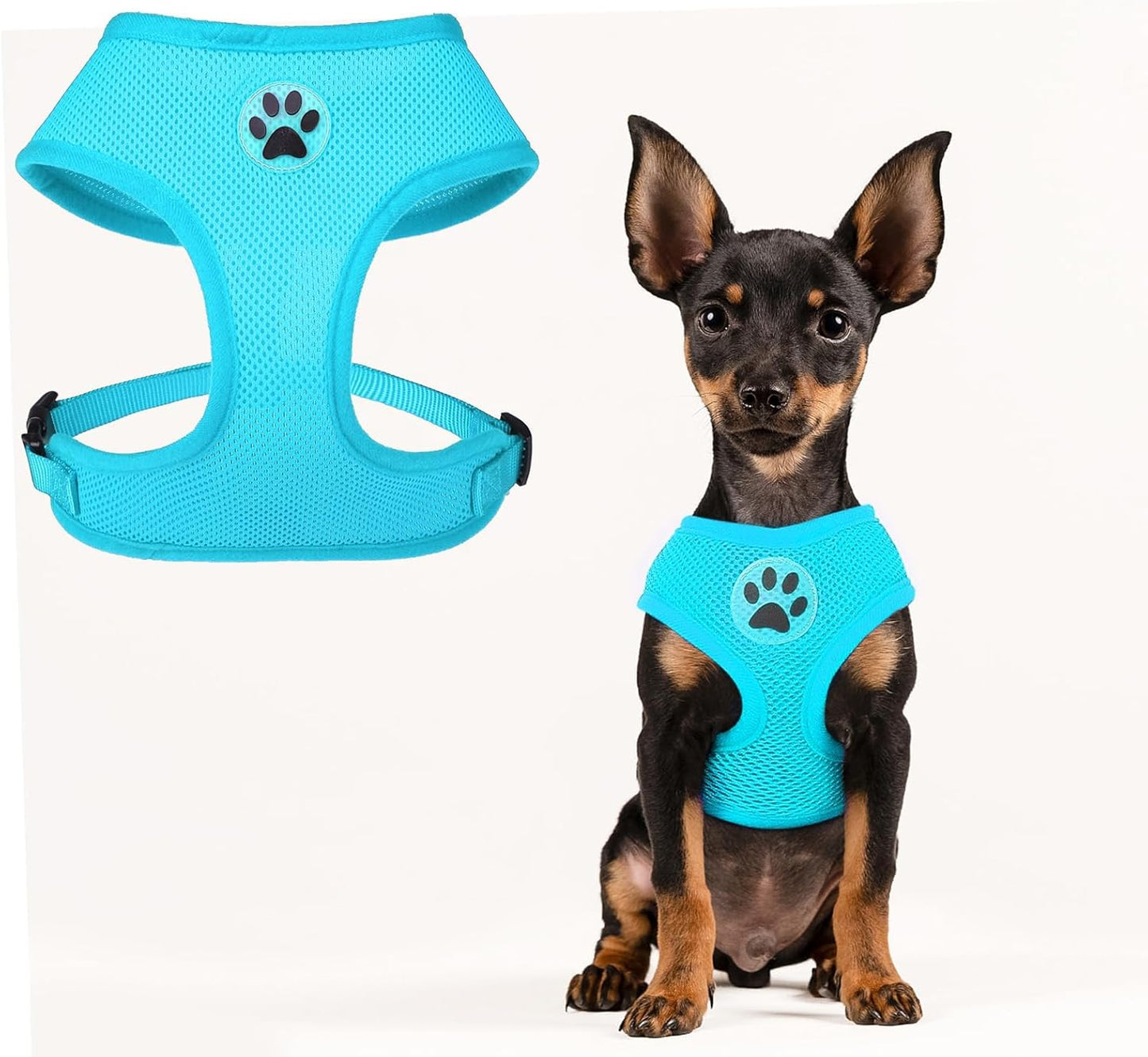 BINGPET No Pull Dog Harness, Soft Mesh Breathable All Weather Vest, Safety Protection Design, Durable Adjustable Step-in Easy Walk Dog Harness for Small Medium Large Dogs (Royal Blue, S)