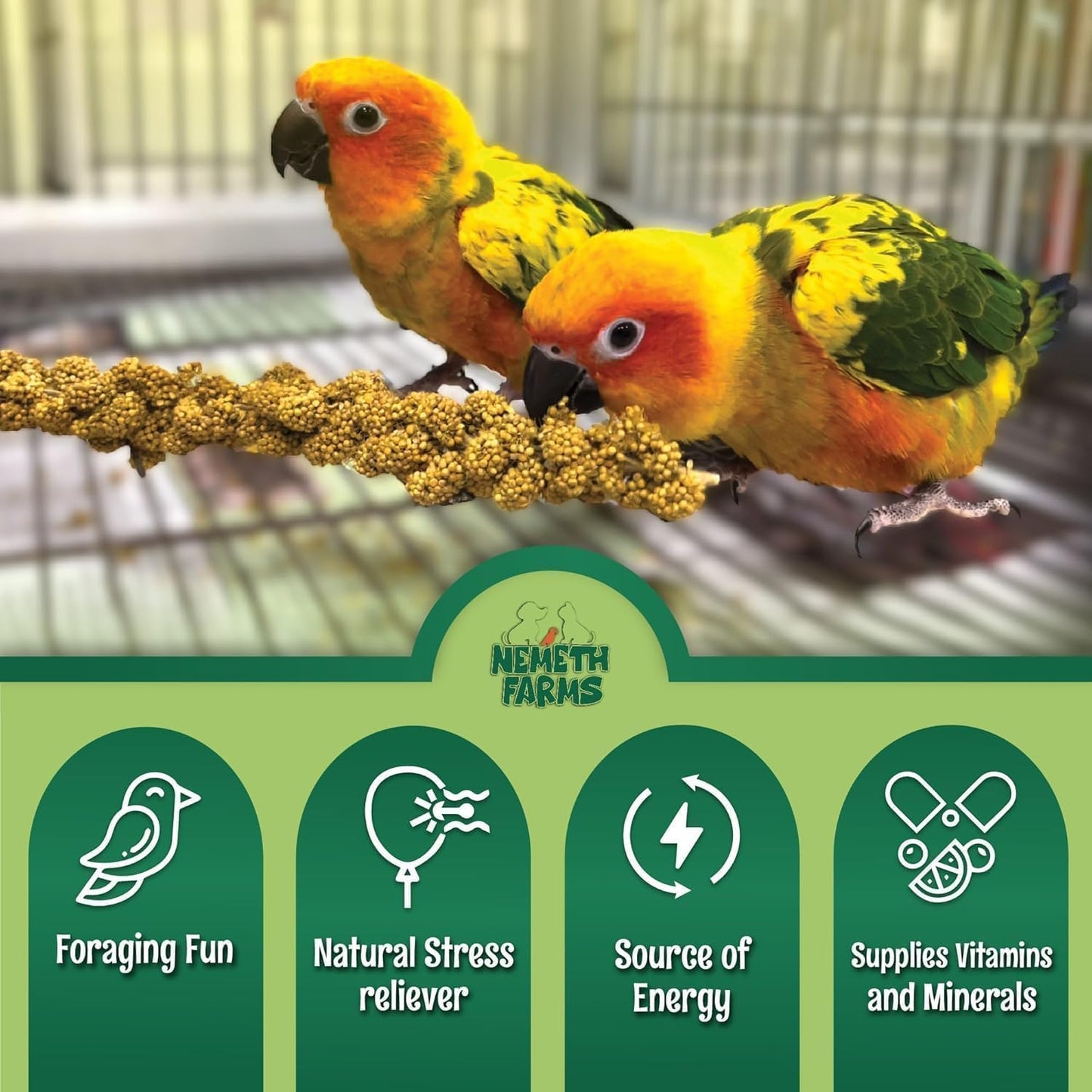 Nemeth Farms- GMO-Free Sun Dried Spray Millet | (No Stems Only Edible Tops) The Original Bird Treat and Supplement for All Pet Birds Parakeets, Cockatiels, Lovebirds and Finches 25lbs