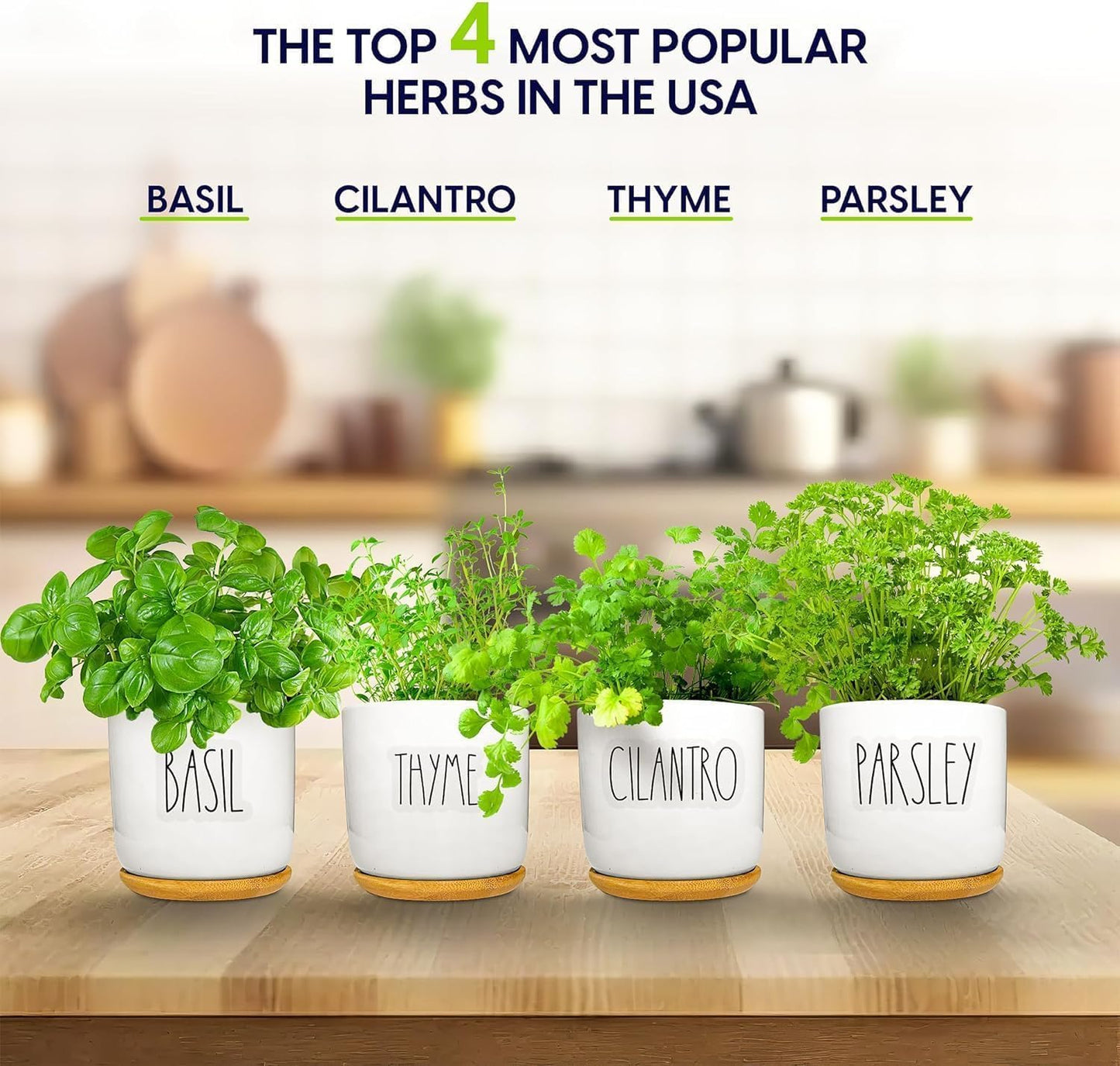 Deluxe Ceramic Indoor Herb Kit 4 Set. Variety Herbs for Indoor & Outdoor – Get Growing with Pots, Potting Soil for Window Herb Garden. (Ceramic Edition)