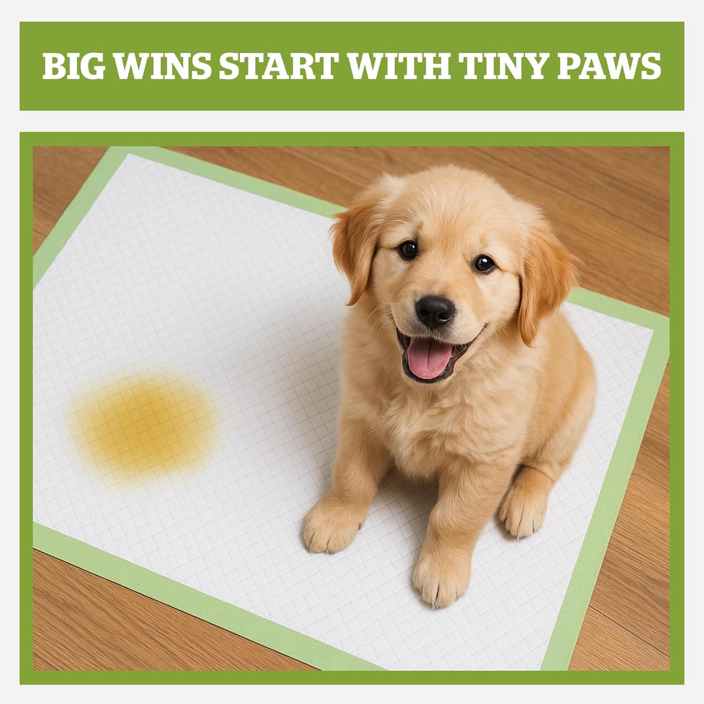 Pogi’s Potty Pads with Sticky Tabs – XL, Super Absorbent, Odor Blocking, 40-Count (24x35in)