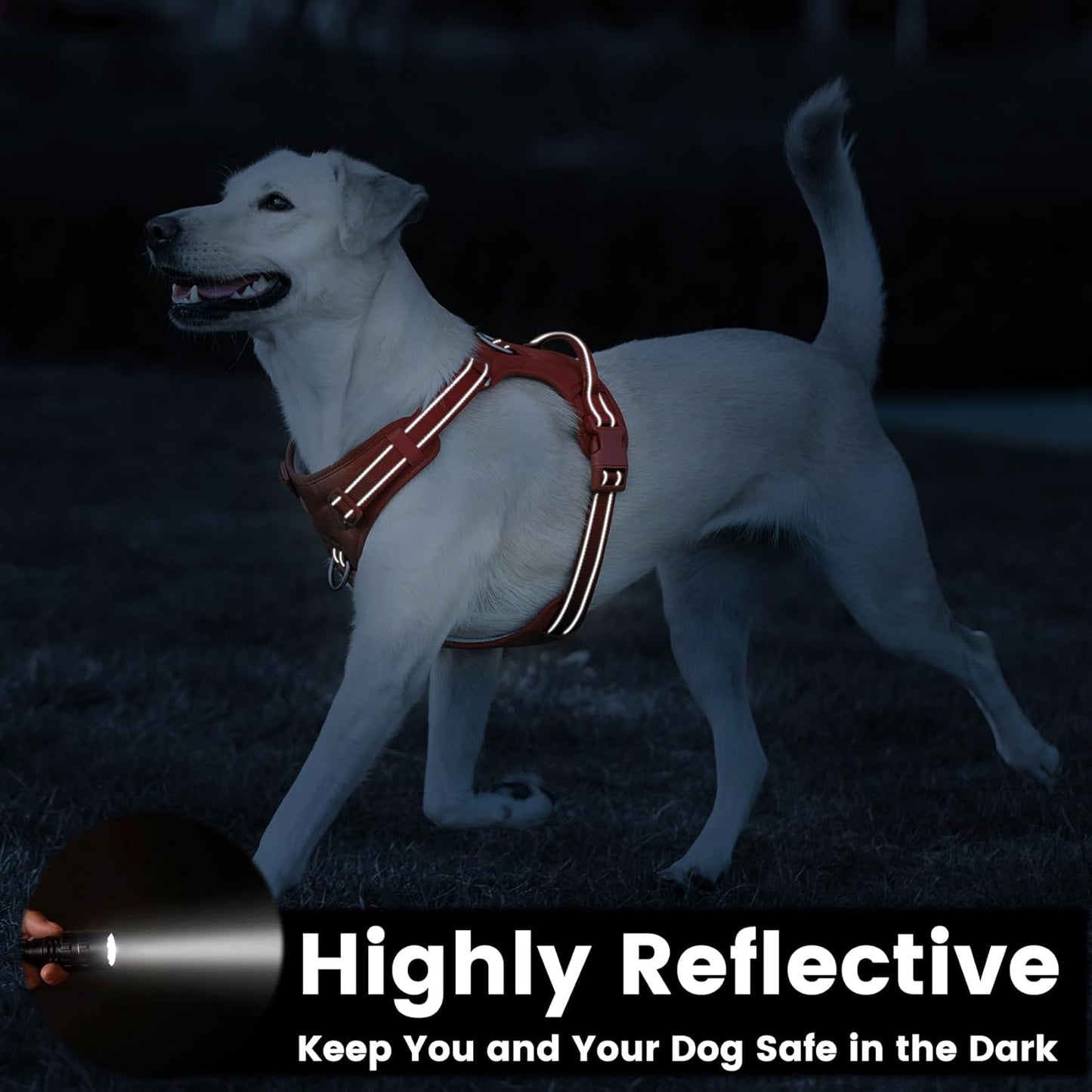 No Pull Dog Harness, Reflective Puppy Vest for Small Medium Large Sized Dog(Orange,L)