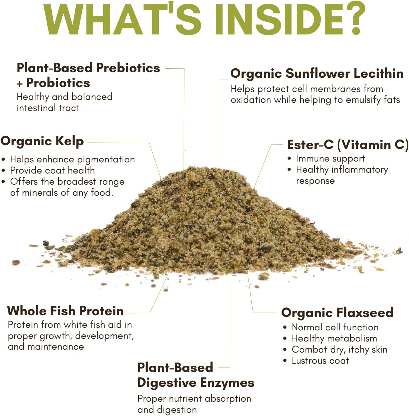 Wholistic Pet Organics Equine Complete: Horse Multivitamin for Total Body Health - Horse Supplement with Vitamins, Minerals, Prebiotics, Probiotics, Antioxidants and More - 4 Lb