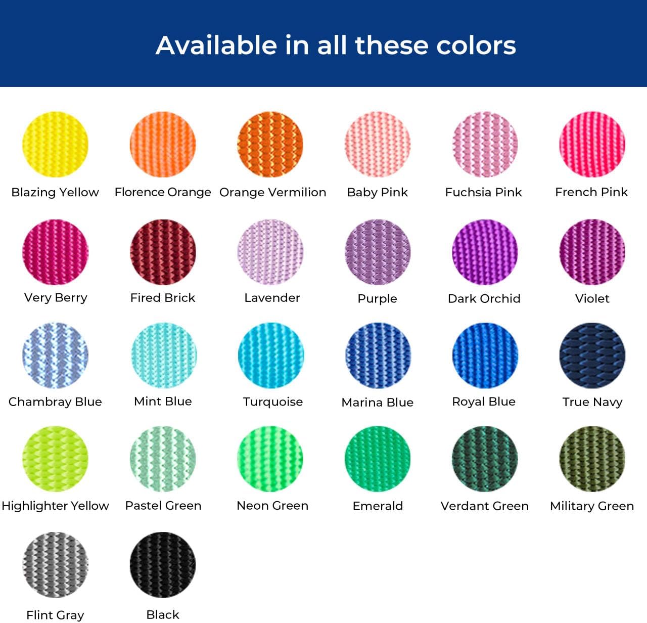 Blueberry Pet Essentials X-Small Dog Collar in Emerald | Adjustable & Eco-Friendly Durable Nylon Strap | Classic Collar for X-Small Dogs, Boy & Girl Pets