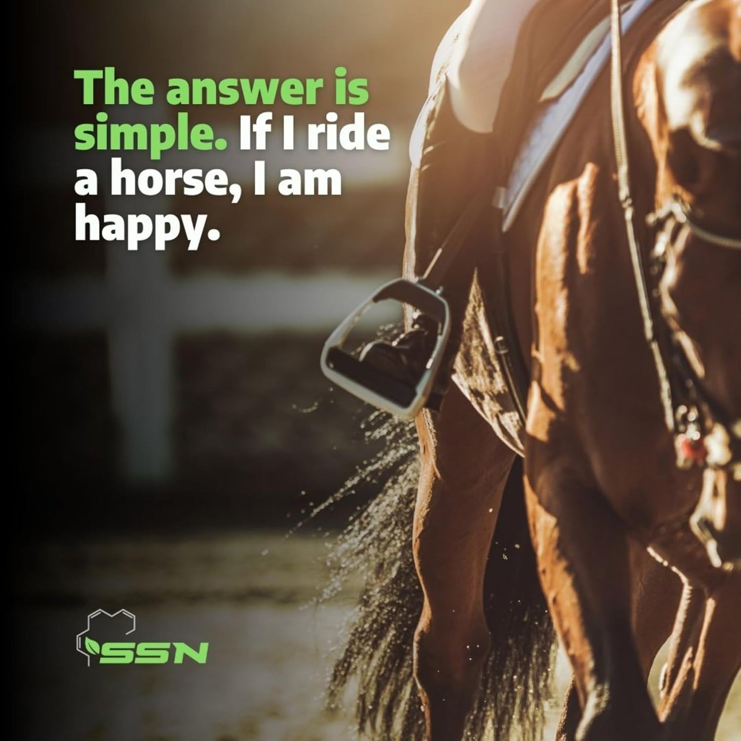 SSN HA 150 - 4 In 1 Horse Supplement - 30 Servings - Equine Joint, Gastric, Ligament/Tendon, Lung Capillary Health - Glucosamine Alternative - (30 Pack, 150mg Sodium Hyaluronate per Serving)