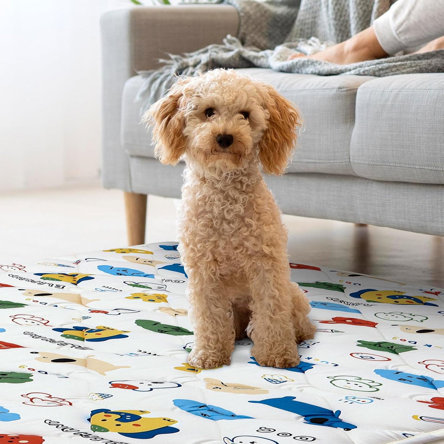 Washable Dog Crate Mat, Ultra Soft Dog Bed Mat for Sleeping with Anti-Slip Bottom for Large Medium Small Dogs Breeds (30" X 19")