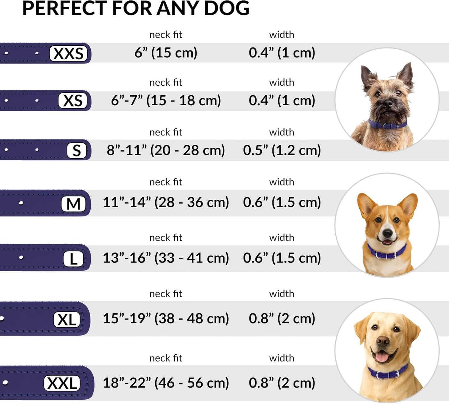 CollarDirect Rolled Leather Dog Collar, Soft Padded Round Puppy Collar, Handmade Genuine Leather Collar Dog Small Large Cat Collars 13 Colors (8-11 Inch, Purple Smooth)