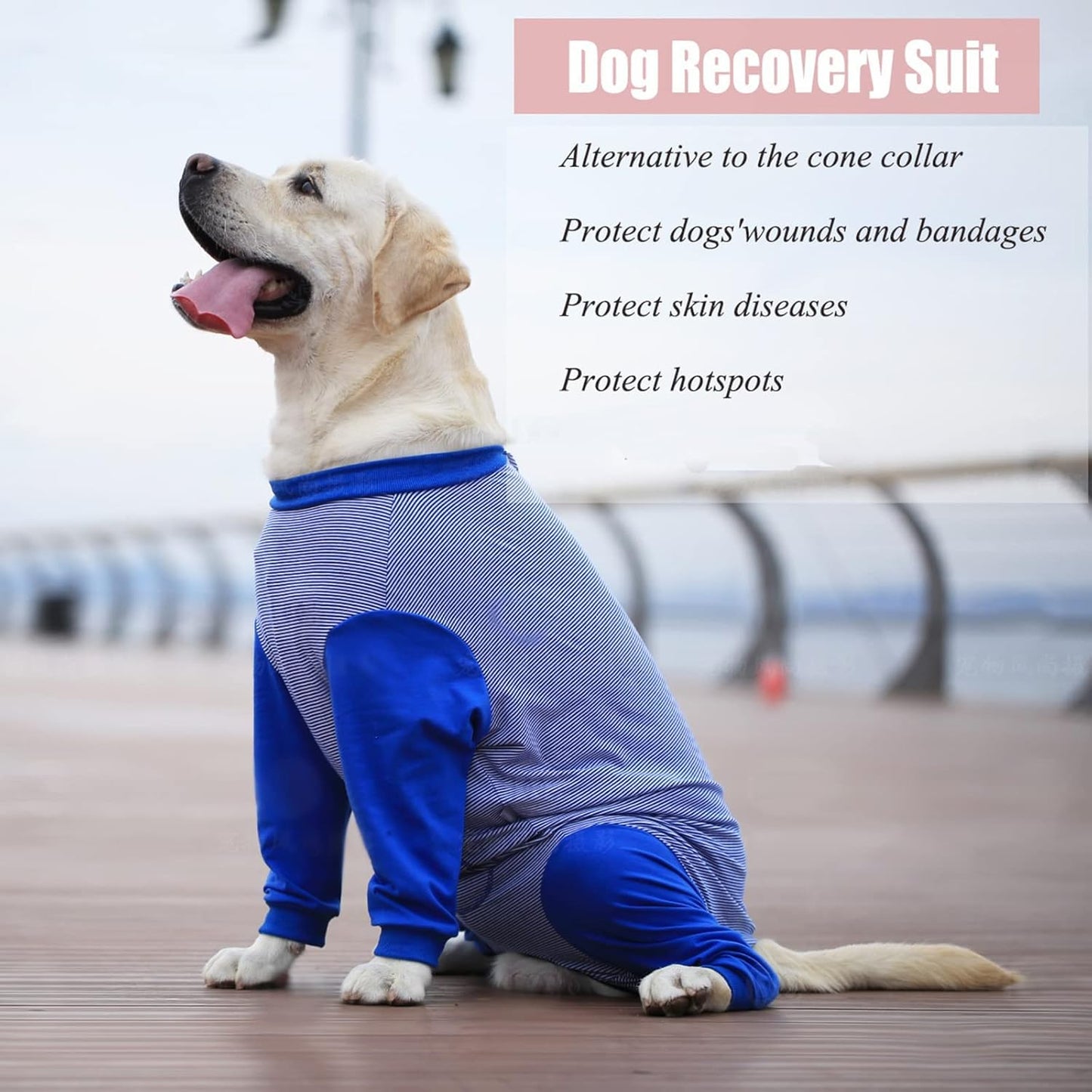 Yeapeeto Dog Onesie Surgery Recovery Suit for Large Medium Bodysuit Dogs Pajamas PJS Full Body for Shedding, Prevent Licking, Wound Protection, Cone Alternative (3XL, Blue)