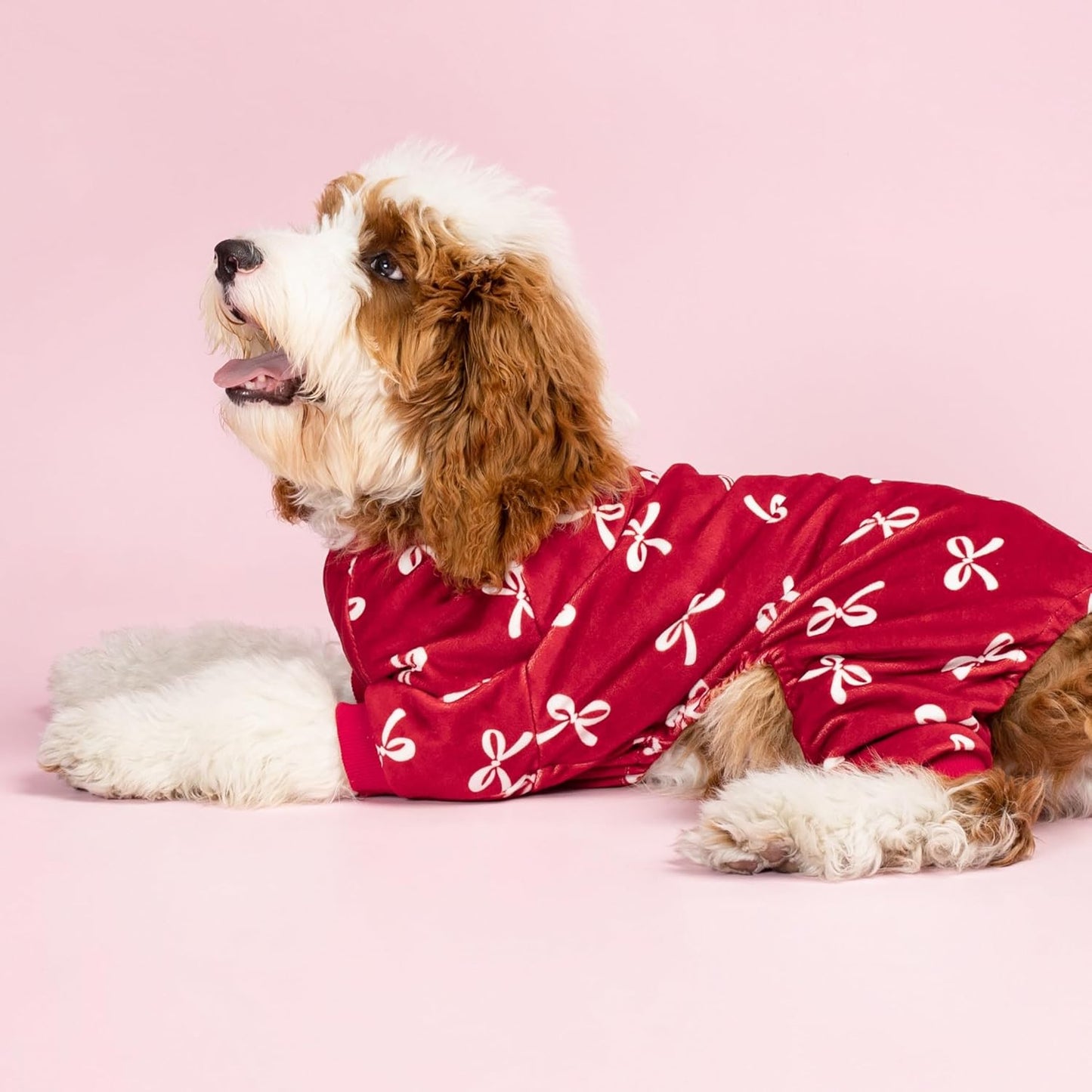 Fitwarm Bowknot Dog Pajamas, Warm Clothes for Small Dogs Girl, Fleece Pet Onesie with Feet, Burgundy Red, White, XXL