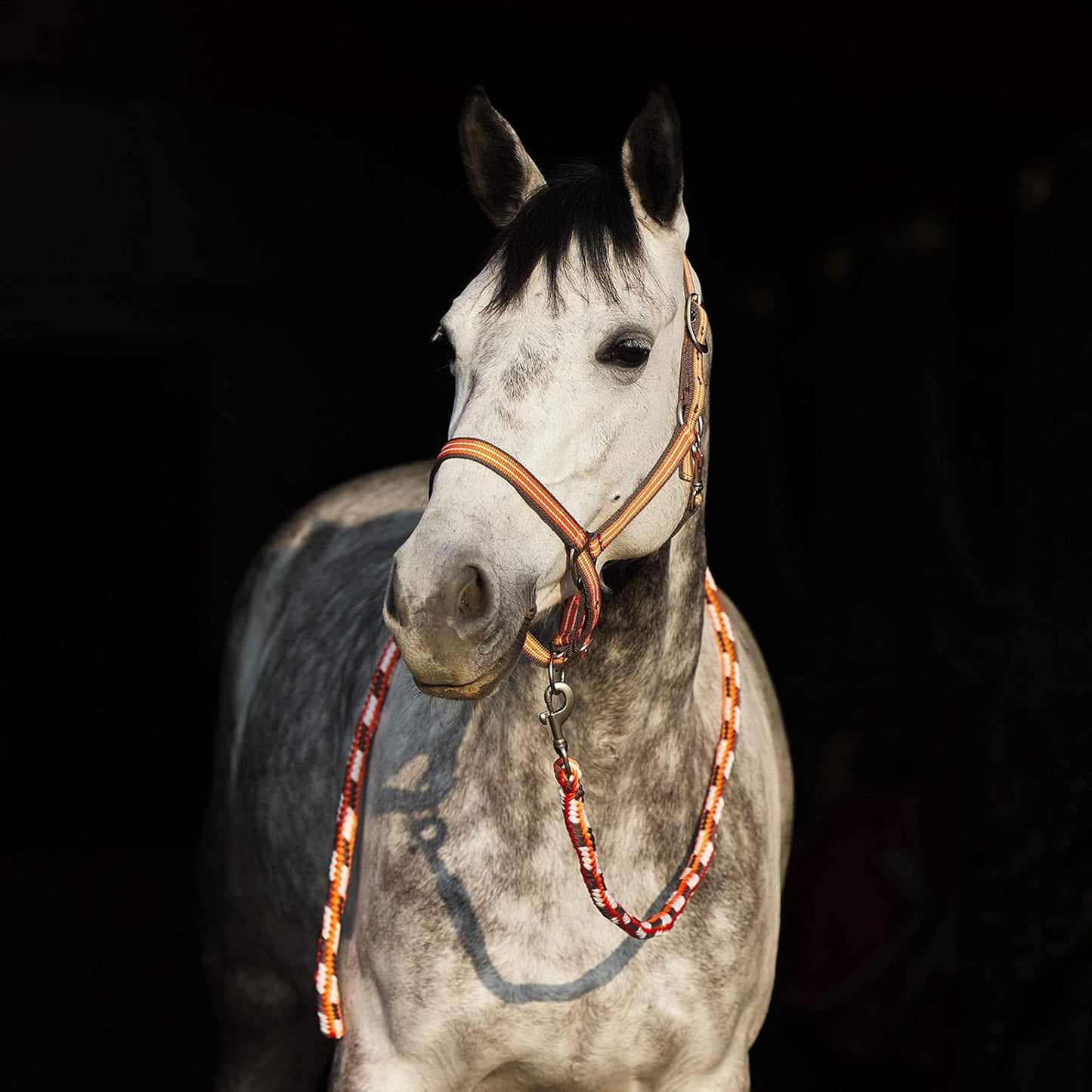 HORZE Adepto Adjustable Horse Halter | Soft, Durable Polyester - Coral Gold - Pony
