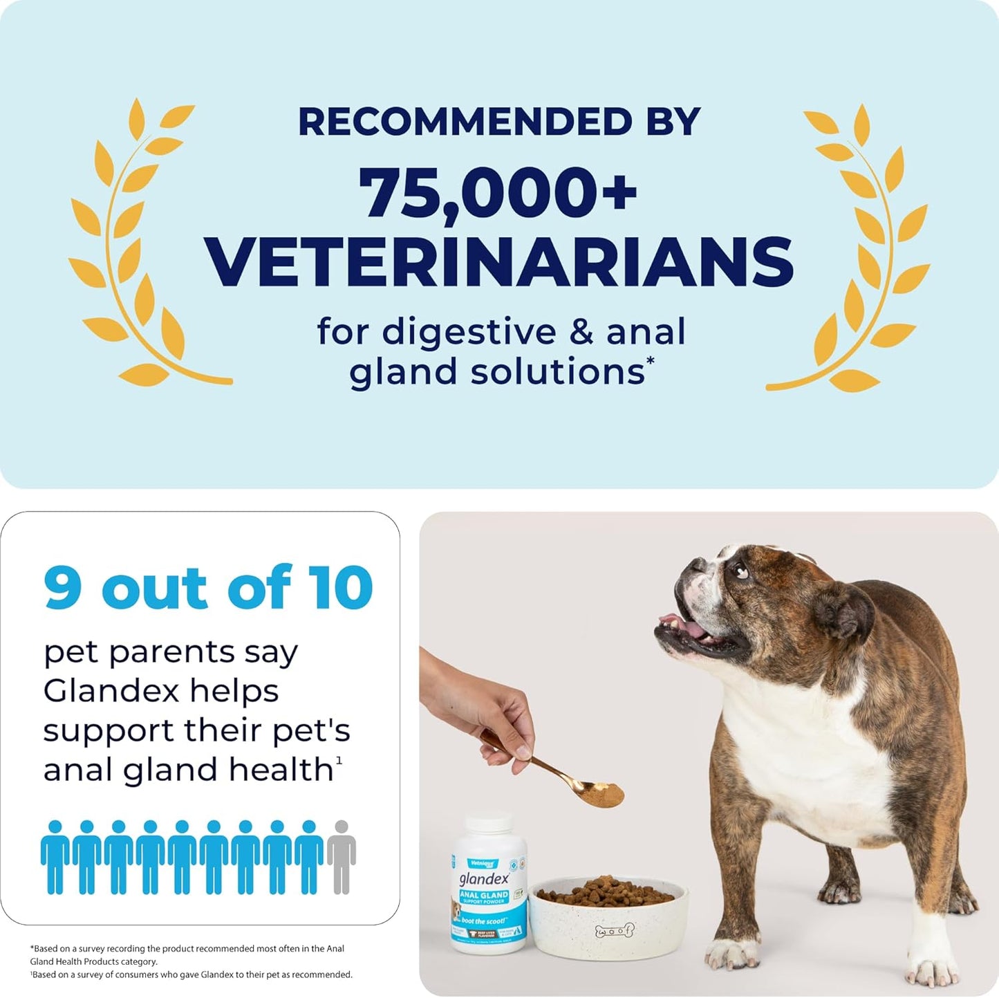 Vetnique Labs Glandex Dog Fiber Supplement Powder for Anal Glands with Pumpkin, Digestive Enzymes & Dog Probiotics for Digestive Health - Vet Recommended - Boot The Scoot (Pork Liver, 5.5oz Powder)