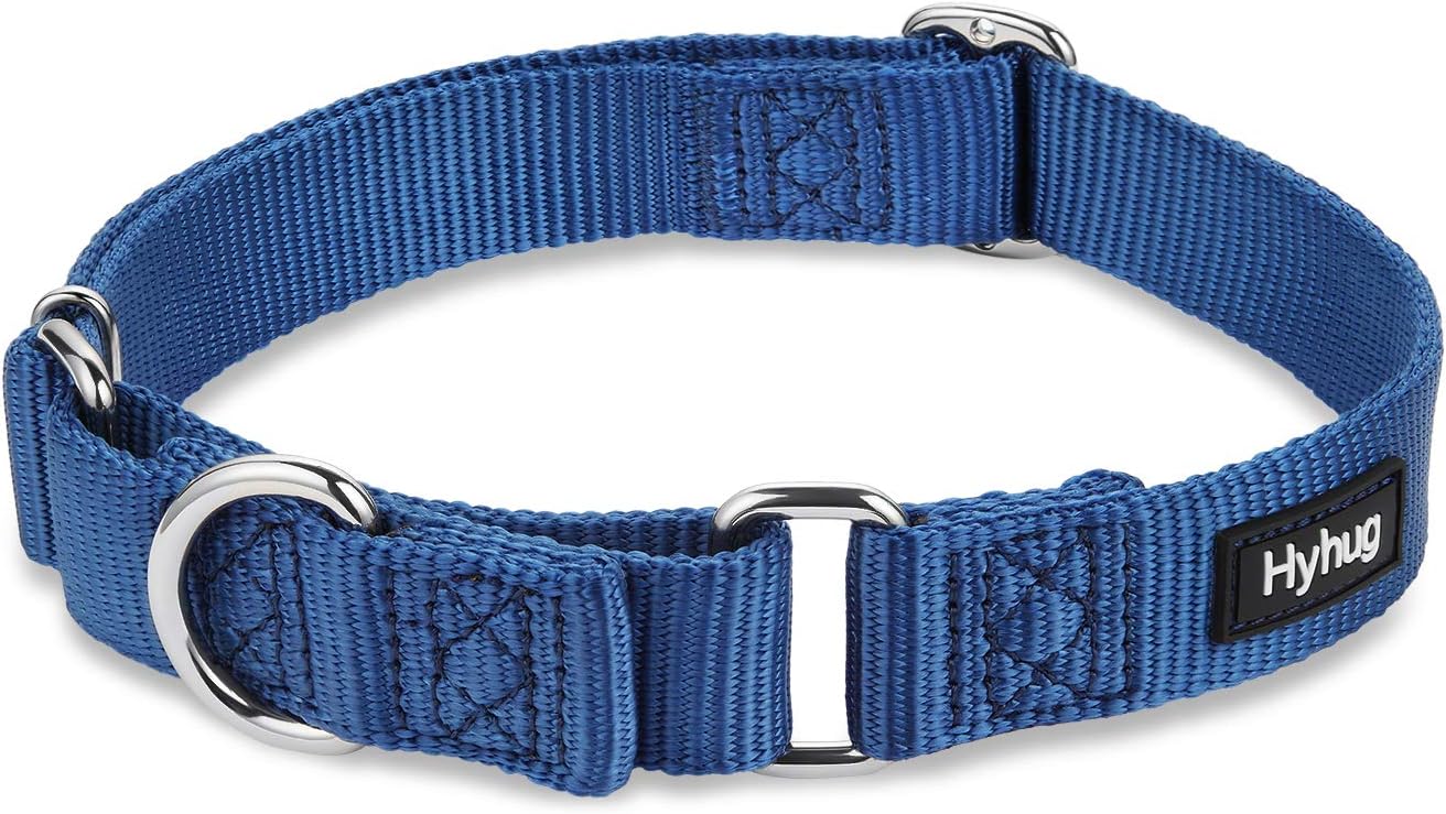 Hyhug Pets Premium Upgraded Heavy Duty Nylon Anti-Escape Martingale Collar for Boy and Girl Dogs Comfy and Safe - Professional Training, Daily Use Walking. (Large, Classic Blue)