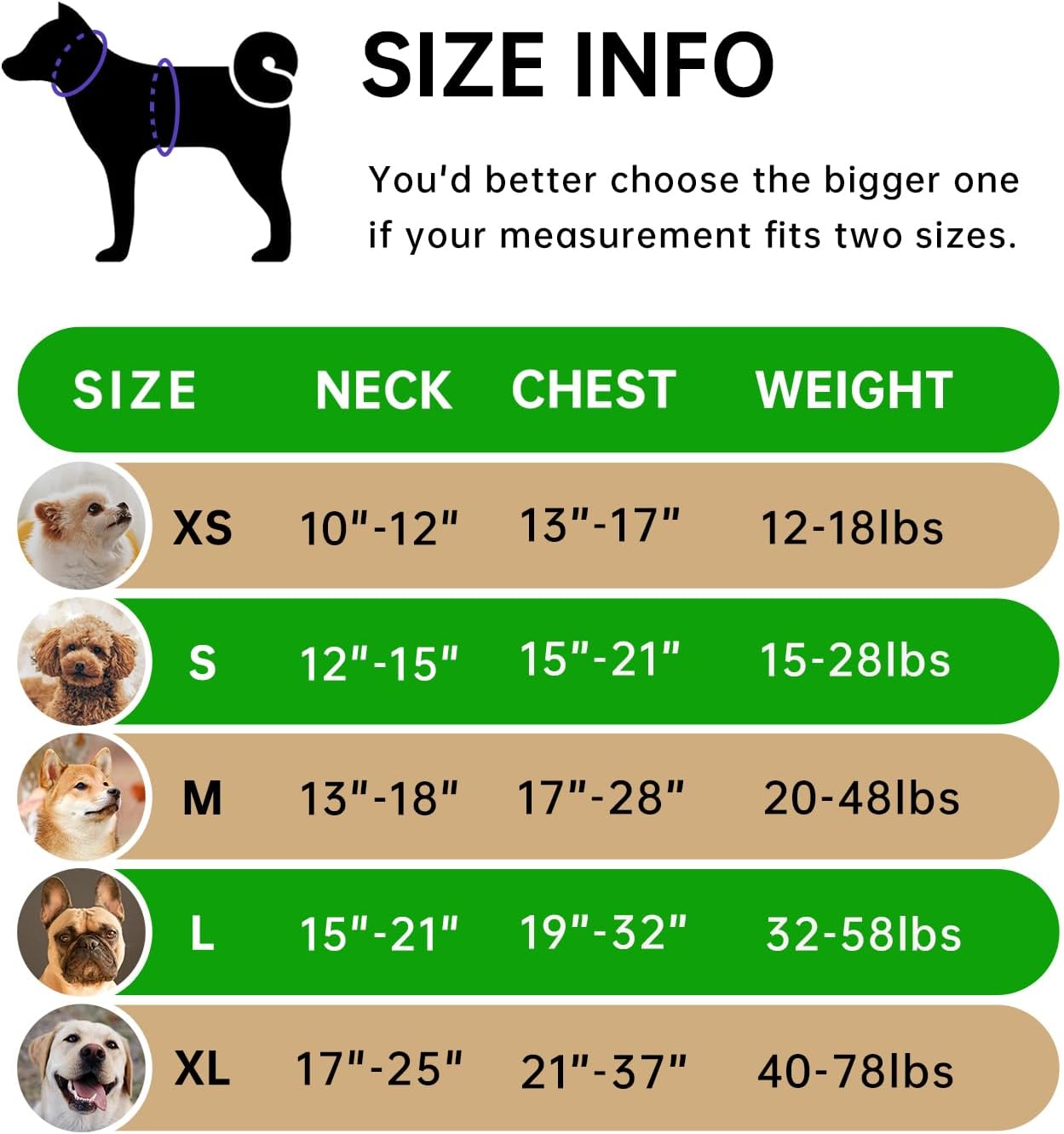 IVY&LANE No Pull Dog Harness for Large Dogs, Dog Vest Harness with Leash, Safety Belt and Storage Strap, Fully Adjustable Harness, 360° Reflective Strip, Soft Handle (Green, XL)