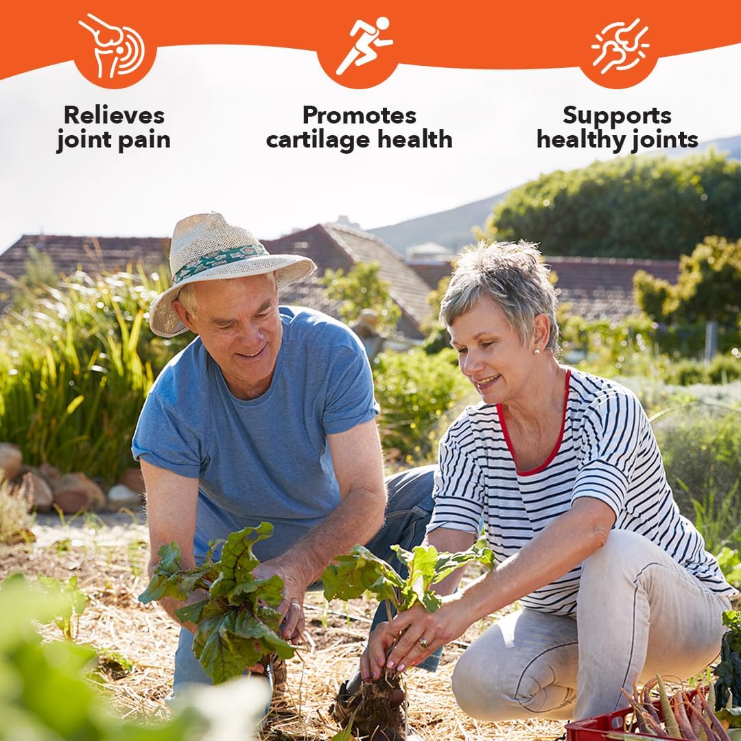 LifeSeasons Mobili-T - Joint Support Supplement - Reduces Aches & Discomforts - Increase Range of Motion - Rebuild Tissue & Cartilage - MSM Chondroitin Collagen Glucosamine & Turmeric - 208 Capsules