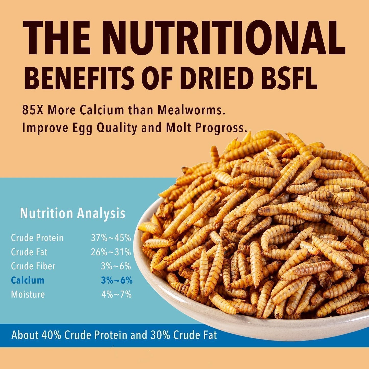 5LB Dried Black Soldier Fly Larvae Treat for Chicken More Calcium Than Mealworms,for Laying Hen,Wild Birds (5 Pound)