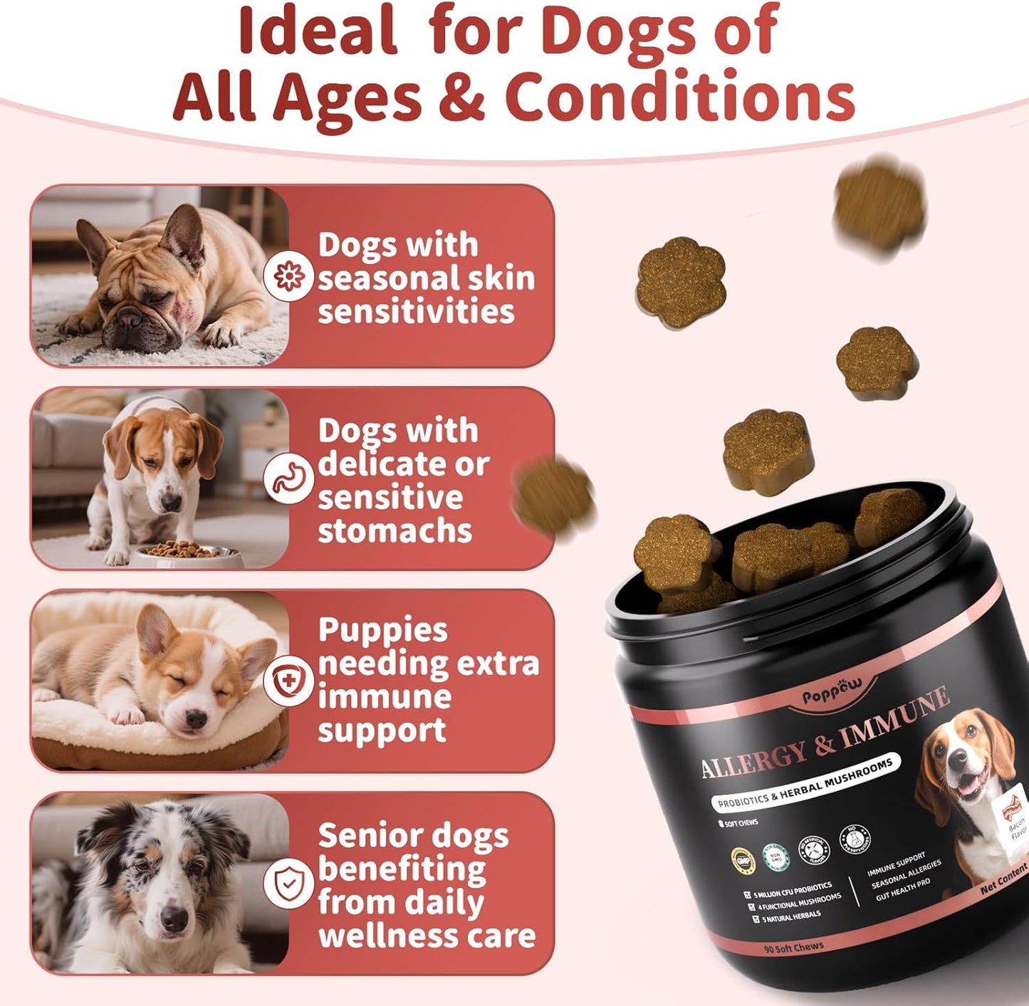 Dog Allergy Chews, Probiotics Supplement for Dogs Seasonal Allergies & Immune Support & Gut Health Pro, Mushroom Soft Chews for Joint, Energy, Itching Skin Support, Bacon Flavor - 90 Count